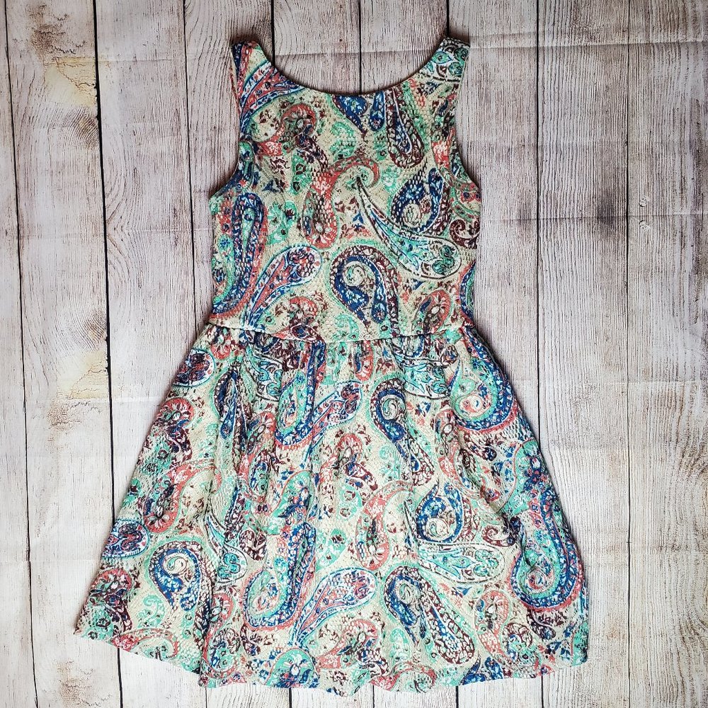 Paisley Skater Skirt Dress